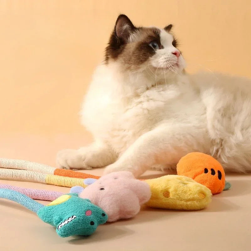 Cat Toys