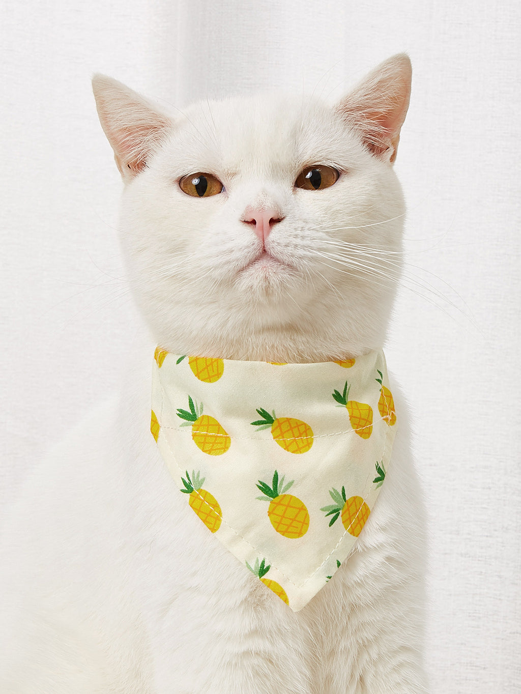Pet Triangle Bandana Collar