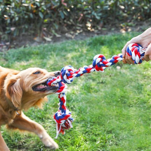 Cotton Rope Five-Knot Dog Toy