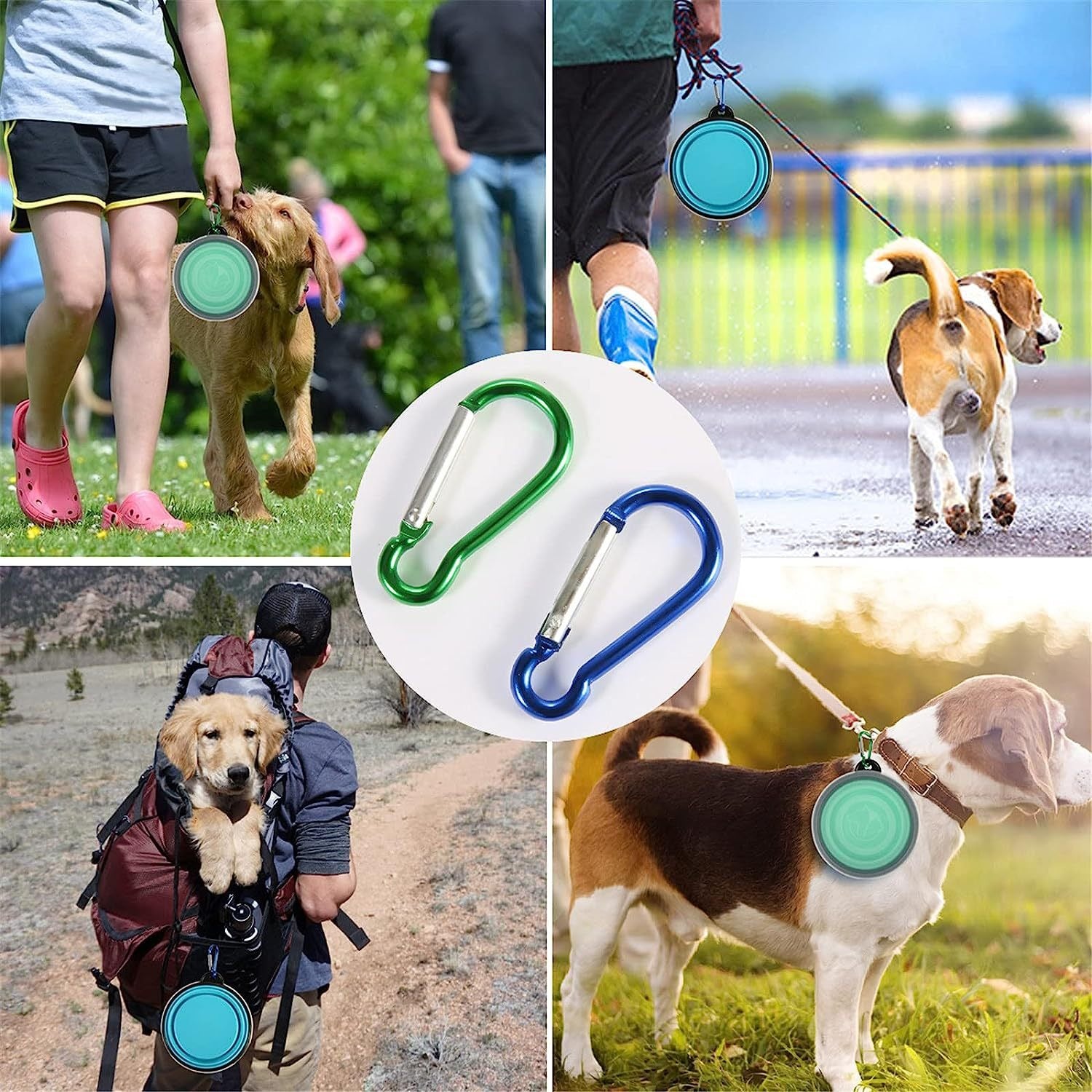 Portable Silicone Pet Bowl with Lid & Carabiner