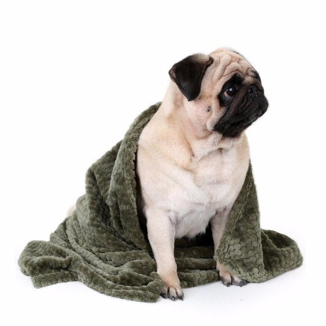 Cuddle Blanket