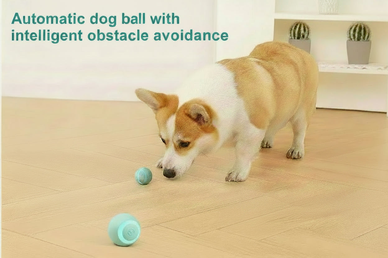 Electric rolling ball dog toy moving autonomously to entertain indoor dogs