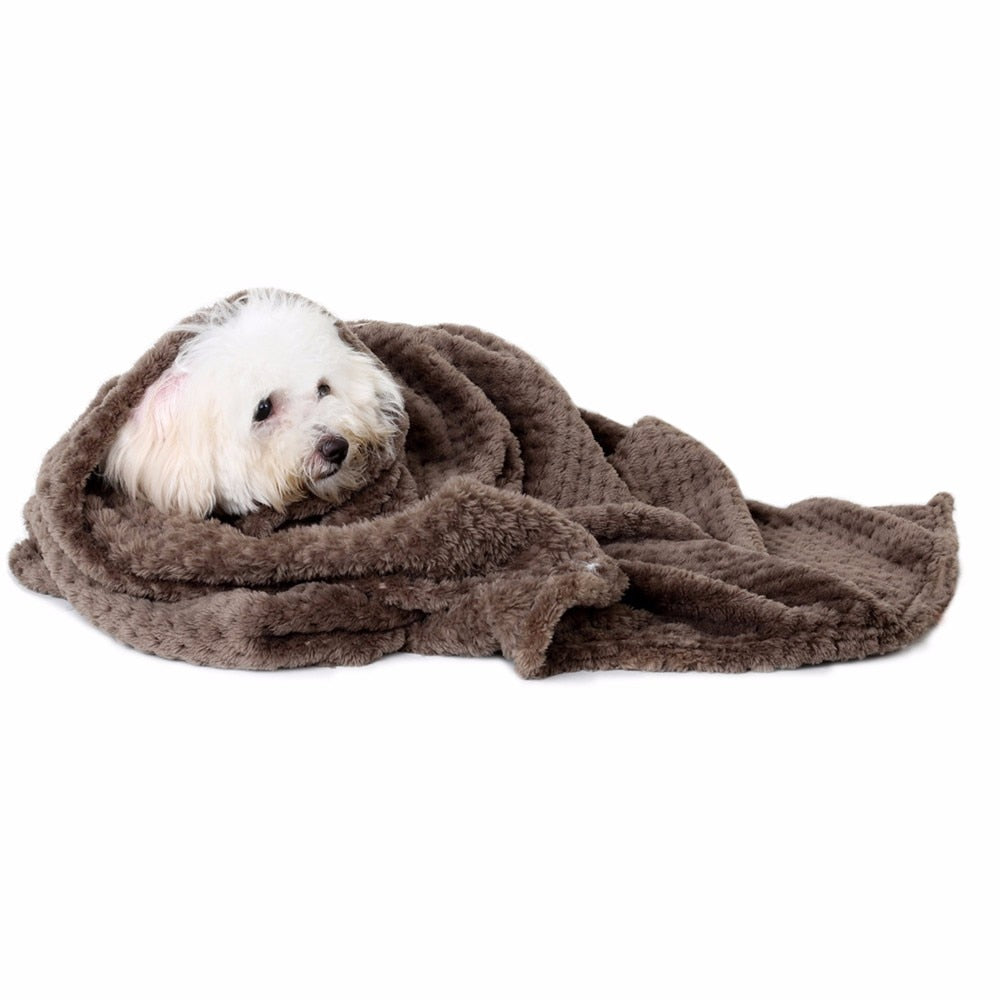 Cuddle Blanket