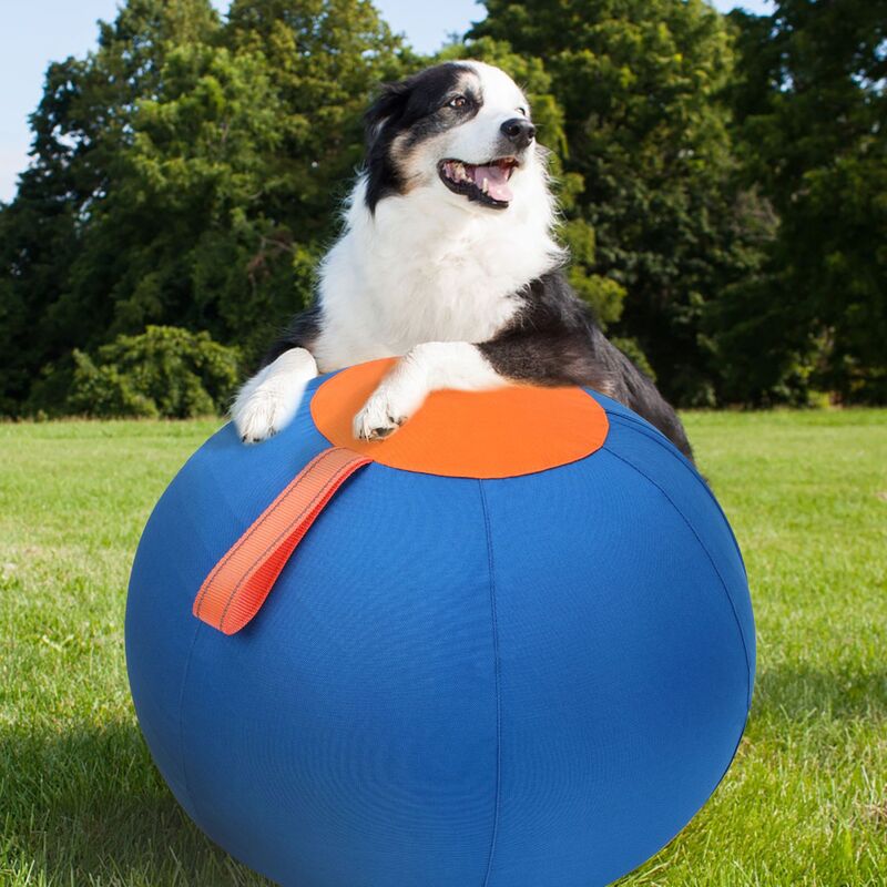 Indestructible floating chew ball for dogs - Blue 