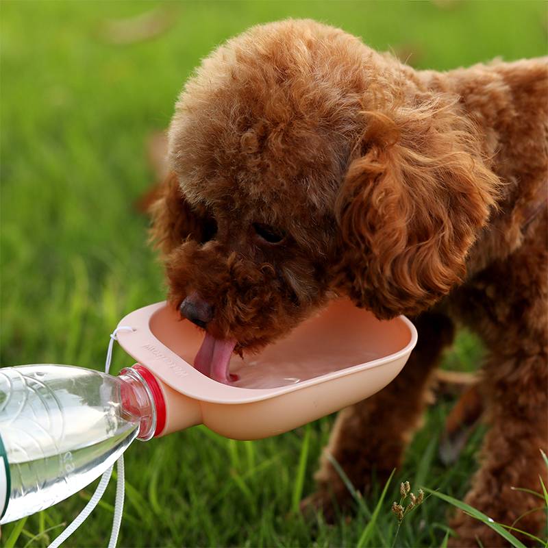 Portable Dog Water Bowl | Travel Drinking Trough Attachment for Standard Water Bottles