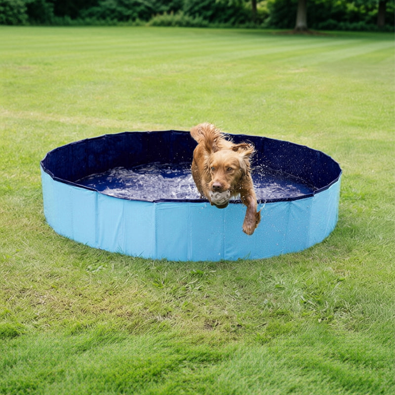 Foldable Portable Dog Pool – 3 Sizes with Drain