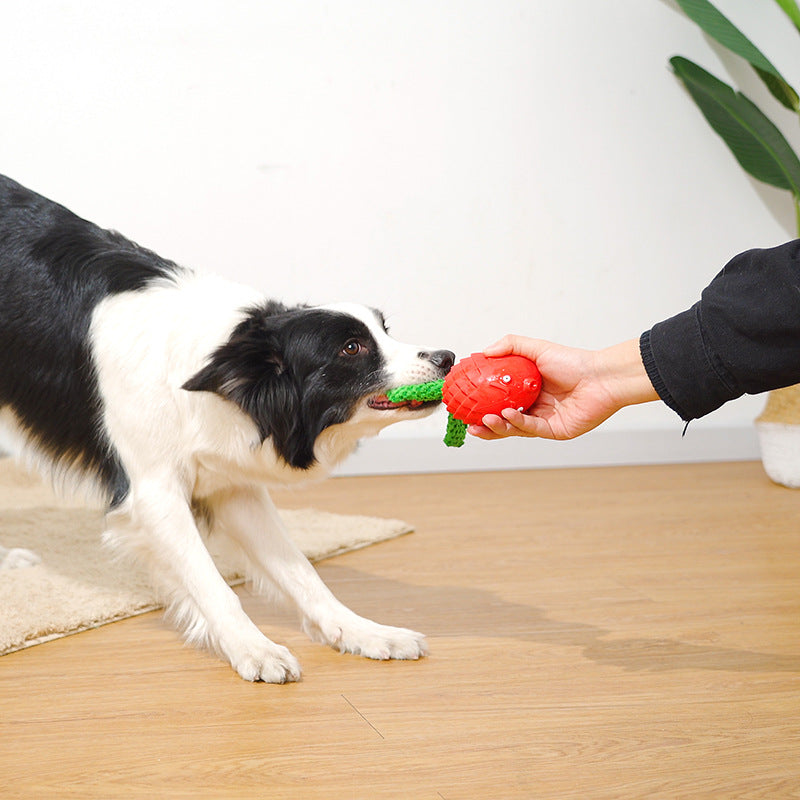 Squeaky Rubber Dog Chew Toy | Interactive Molar & Teeth Cleaning Toy for Dogs