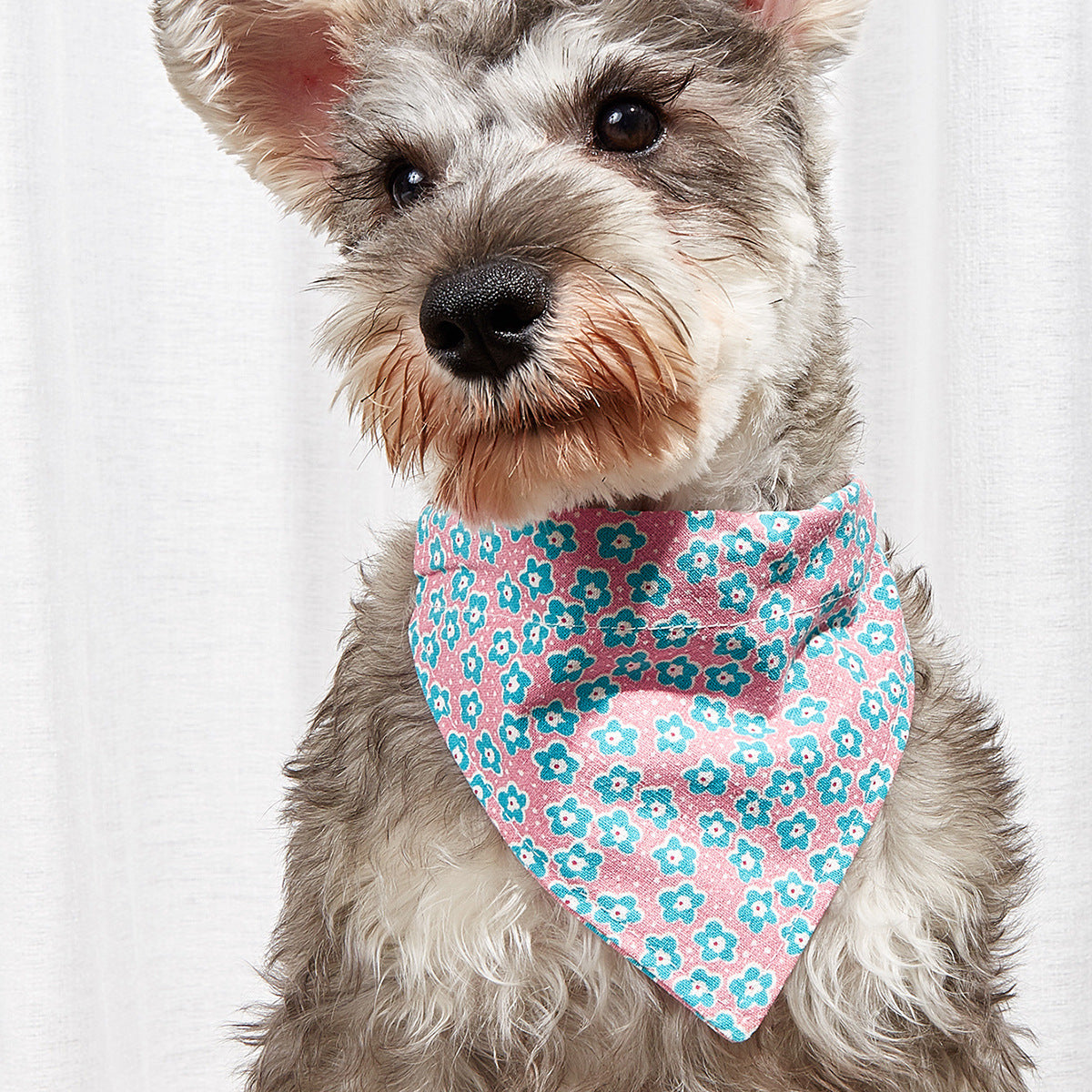 Pet Triangle Bandana Collar