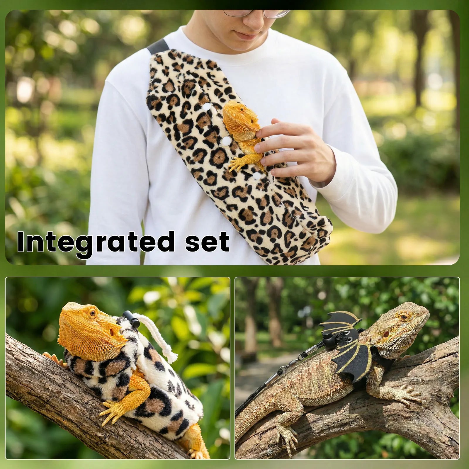 Bearded Dragon Harness, Leash & Carrier Set - 3 Piece