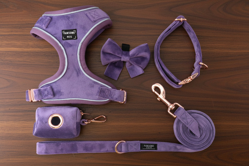 Walking Bundle - Purple
