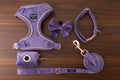 Walking Bundle - Purple