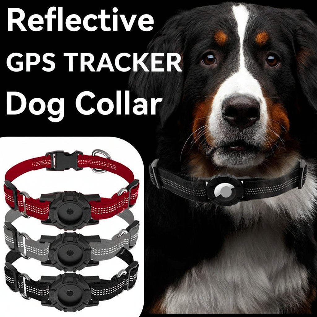 GPS Tracker Dog Collar – Nylon Safety Collar with Locator Holder
