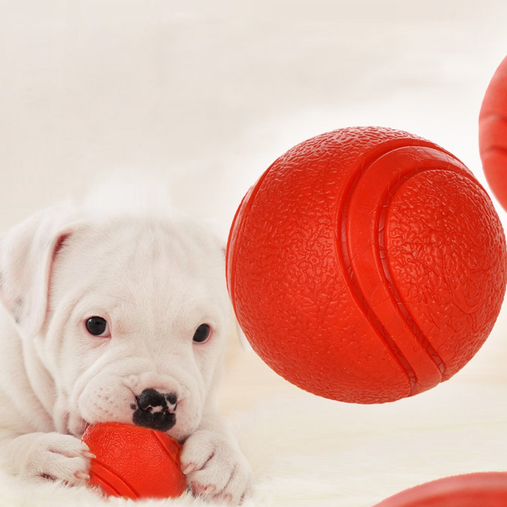 Dog playing with durable rubber ball - bite-resistant chew and fetch toy for dogs