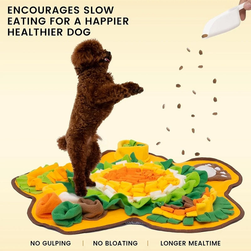 Dog sniffing treats hidden in snuffle mat - mental stimulation and slow feeding enrichment toy