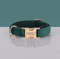PAWSOME DOG COLLAR