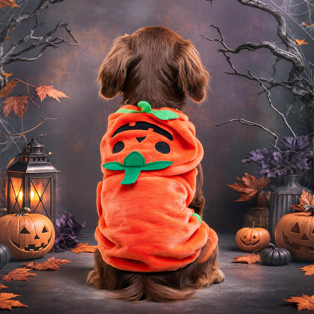 Pet Halloween Pumpkin Costume Robe