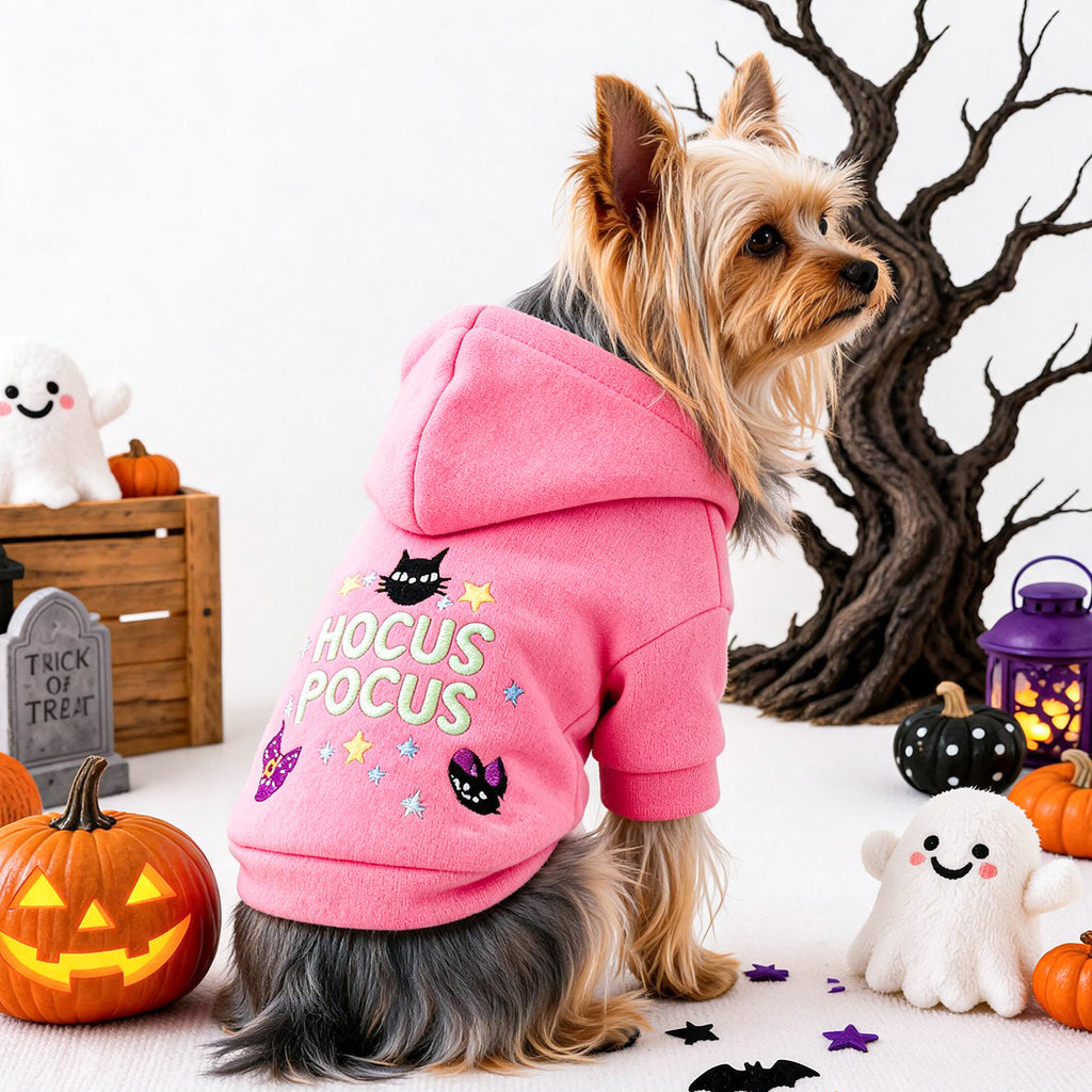 Halloween magic hoodie costume for small dogs and cats - pink witch design