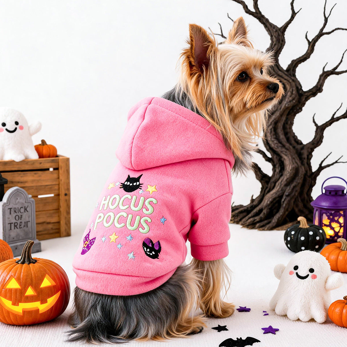 Halloween magic hoodie costume for small dogs and cats - pink witch design