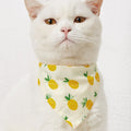 Pet Triangle Bandana Collar