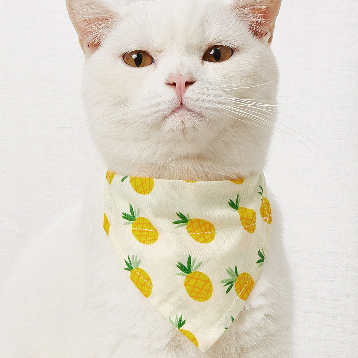 Pet Triangle Bandana Collar