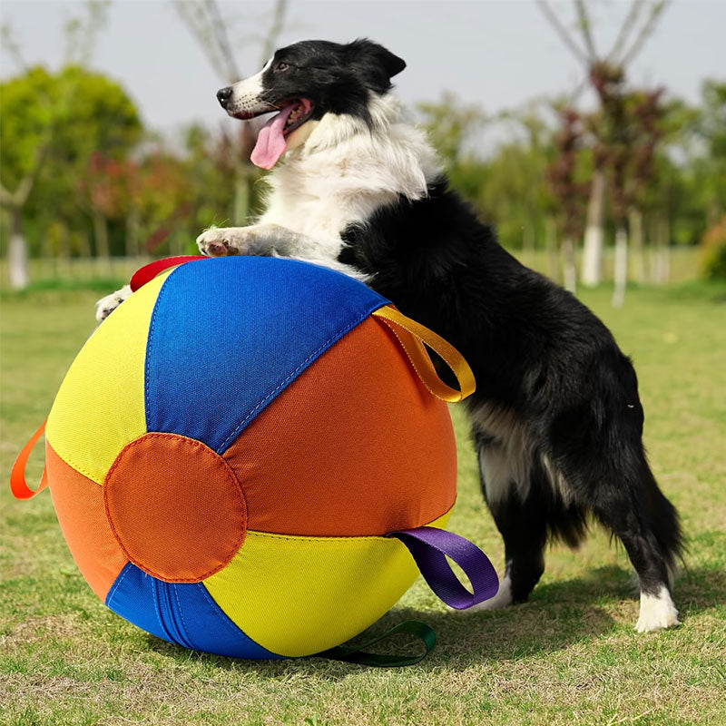 Indestructible floating chew ball for dogs -Multi-colour