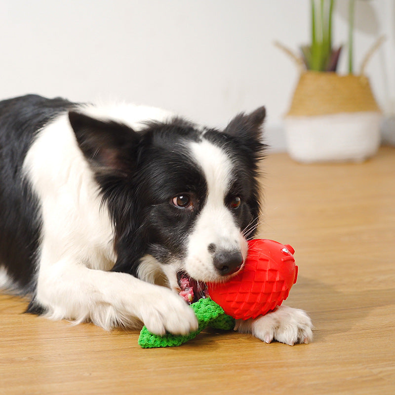 Squeaky Rubber Dog Chew Toy | Interactive Molar & Teeth Cleaning Toy for Dogs