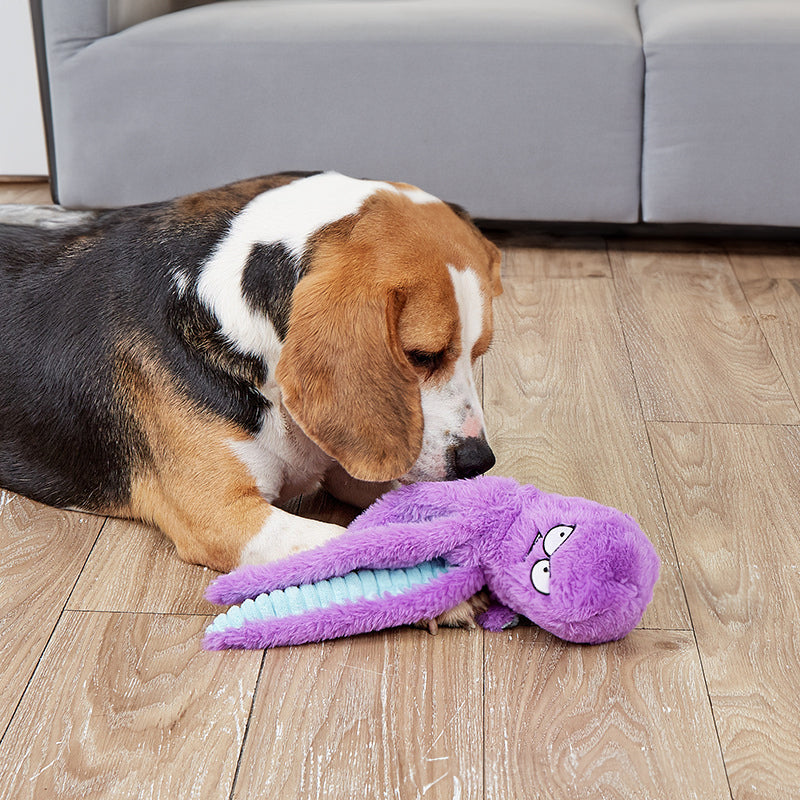 Angry Octo Plush Dog Toy