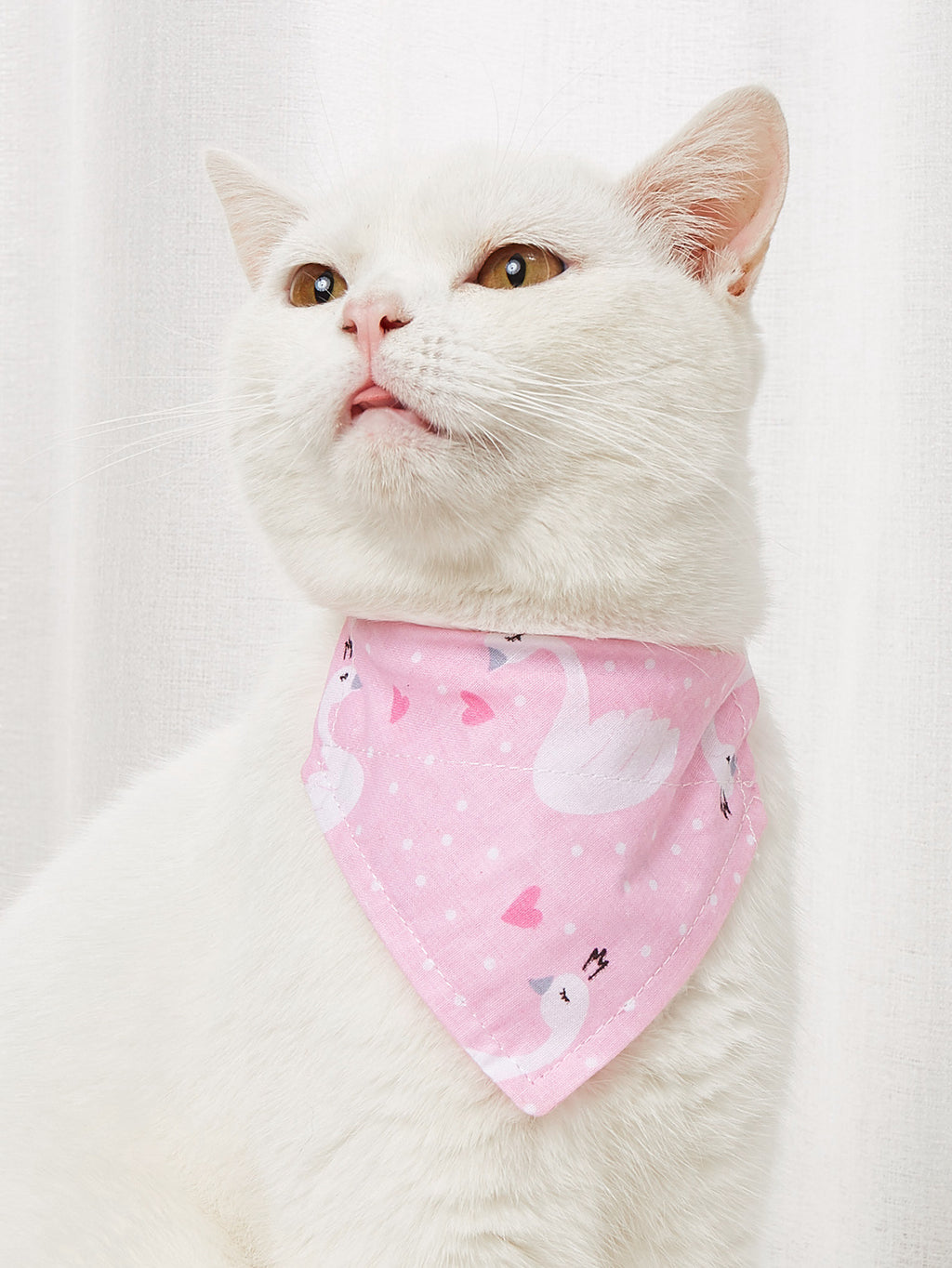 Pet Triangle Bandana Collar