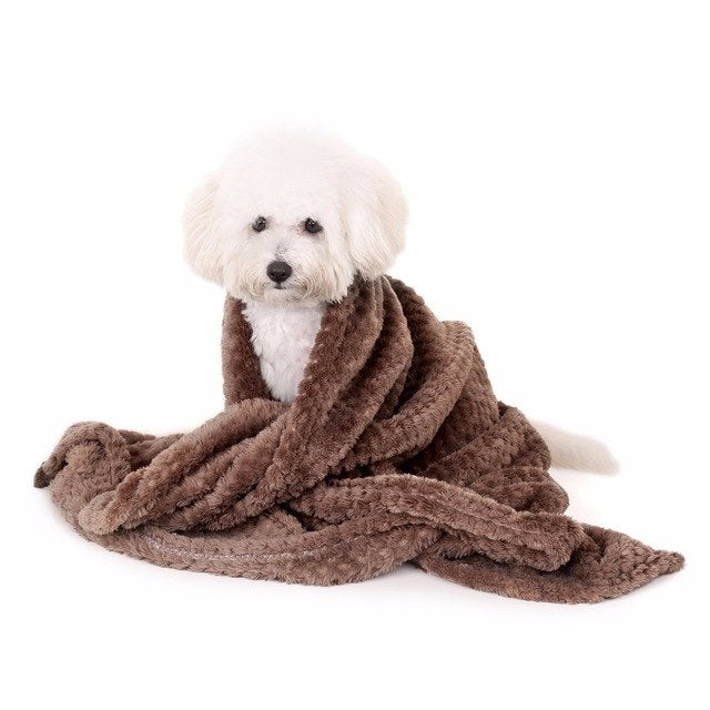 Cuddle Blanket