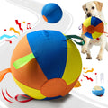 Indestructible floating chew ball for dogs -  Multi-colour 