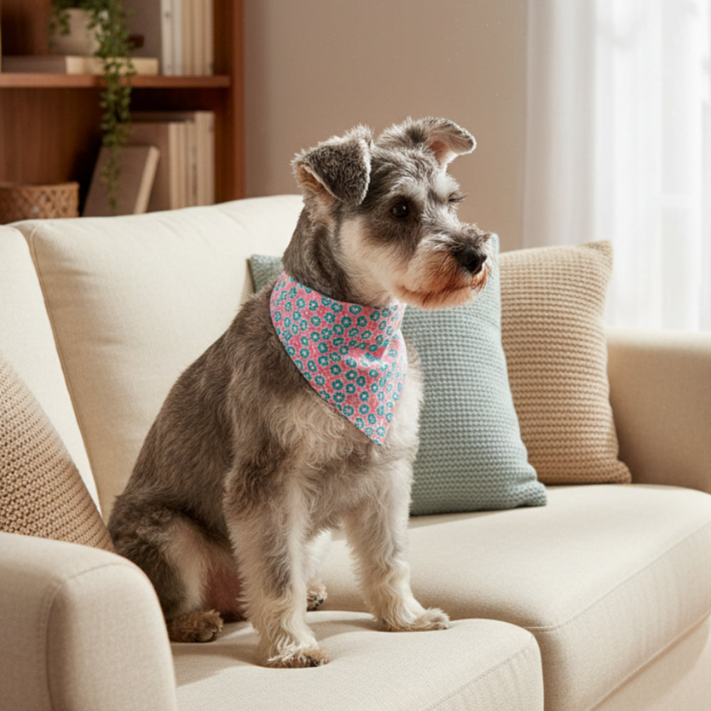 Pet Triangle Bandana Collar