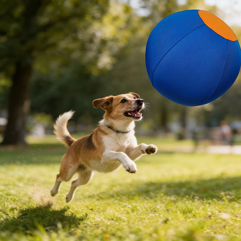 Indestructible floating chew ball for dogs - Blue 