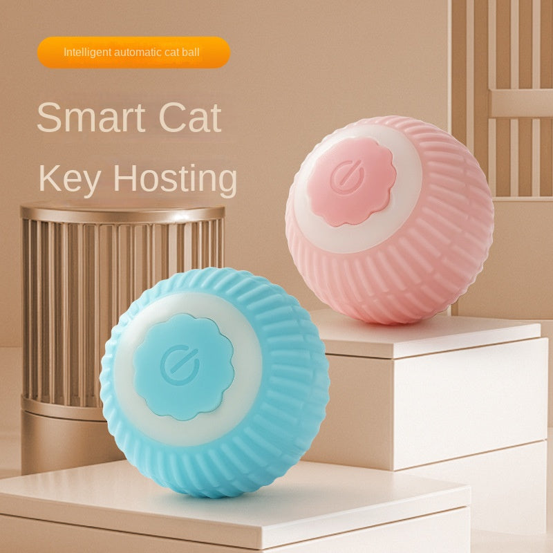 Electric rolling ball cat toy moving autonomously to entertain indoor cats