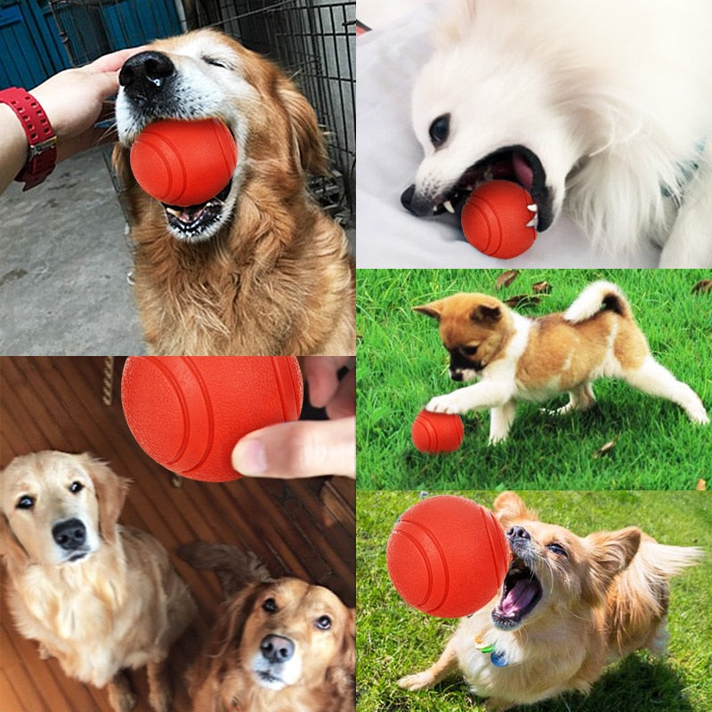 Dog playing with durable rubber ball - bite-resistant chew and fetch toy for dogs