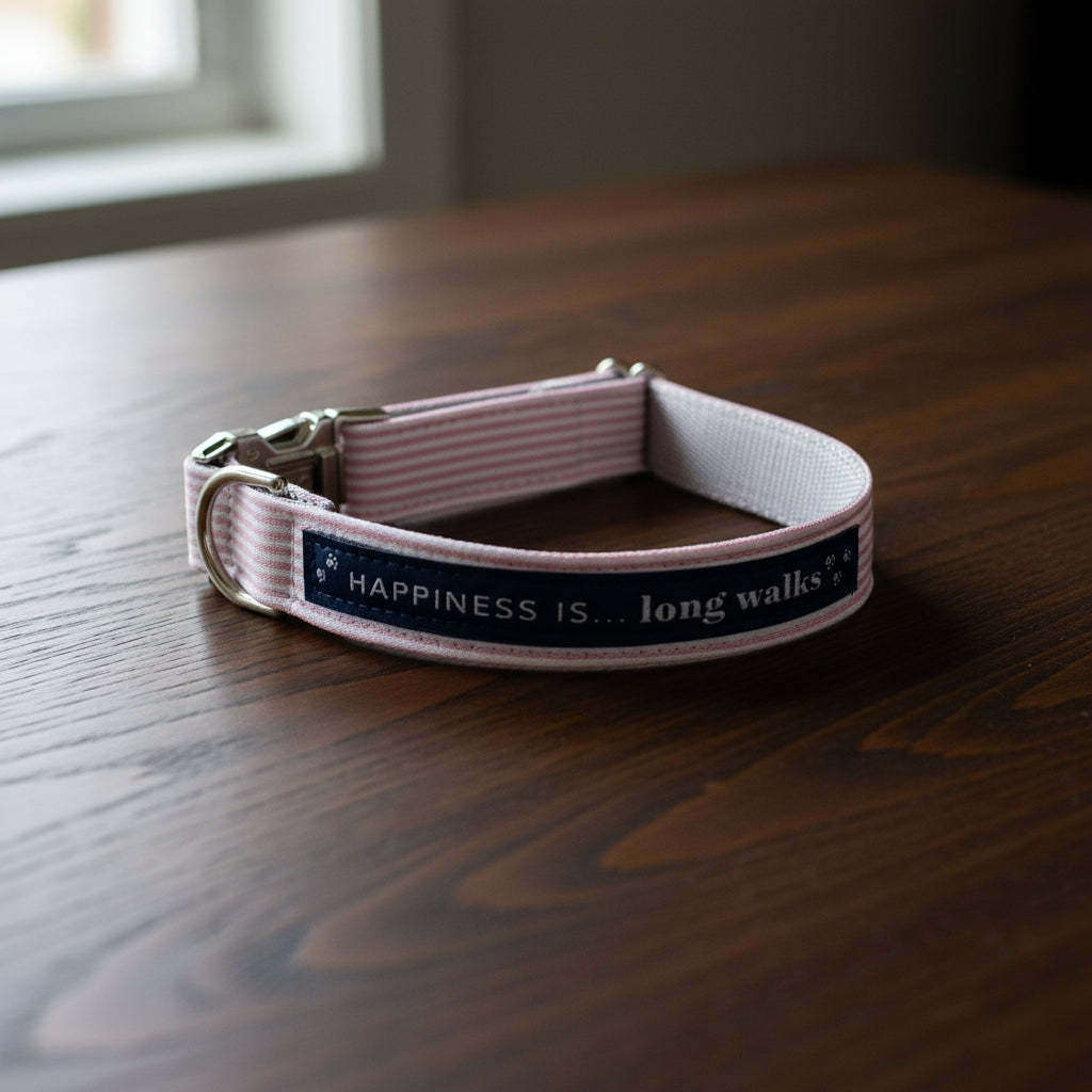 Dog Long Walks Striped Pink Collar