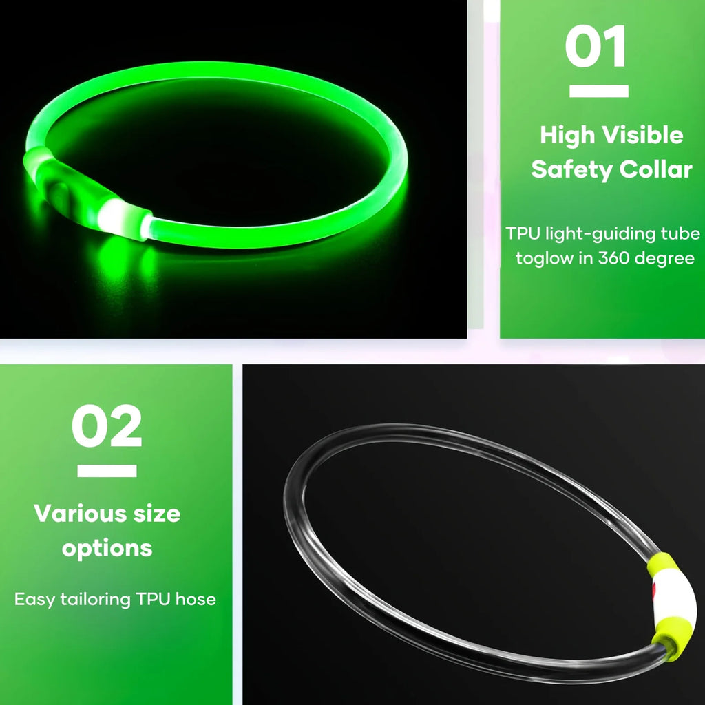 USB Rechargeable LED Light-Up Dog Collar – Night Safety Collar