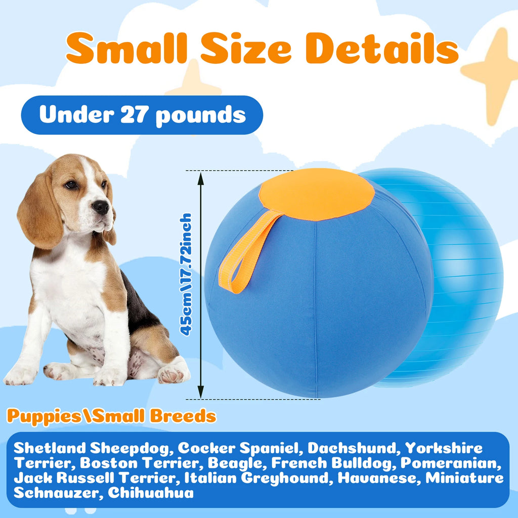 Herding Ball for Dogs — Inflatable Interactive Toy with Handle (45, 55 & 65cm)