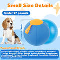 Herding Ball for Dogs — Inflatable Interactive Toy with Handle (45, 55 & 65cm)
