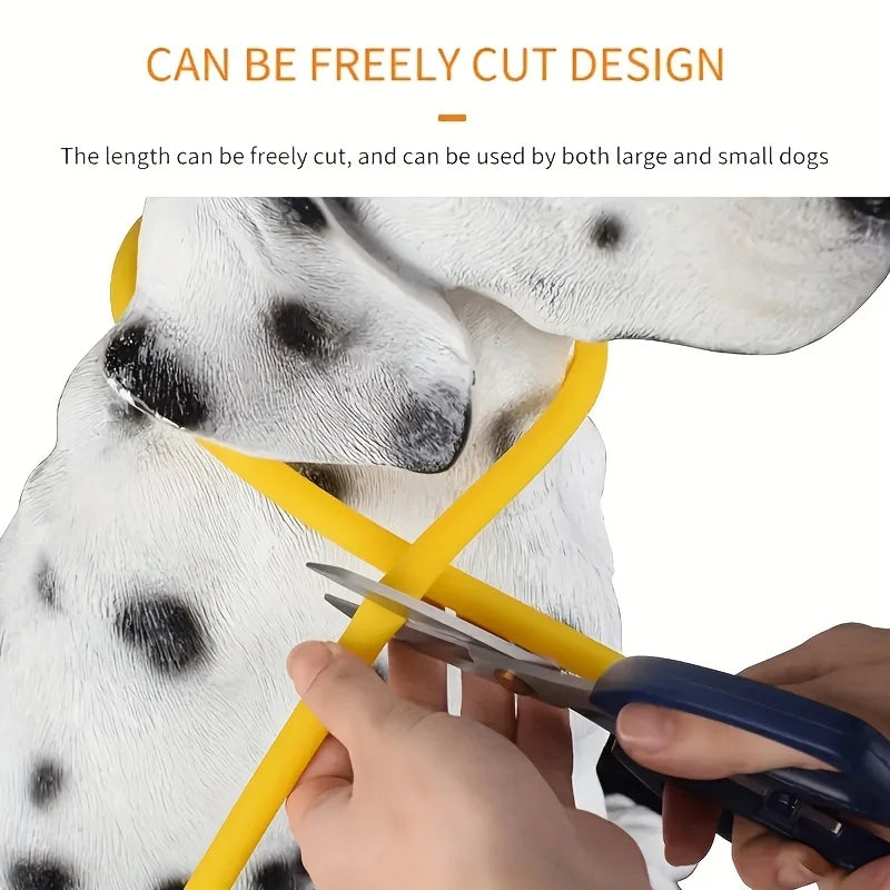 USB Rechargeable LED Light-Up Dog Collar – Night Safety Collar