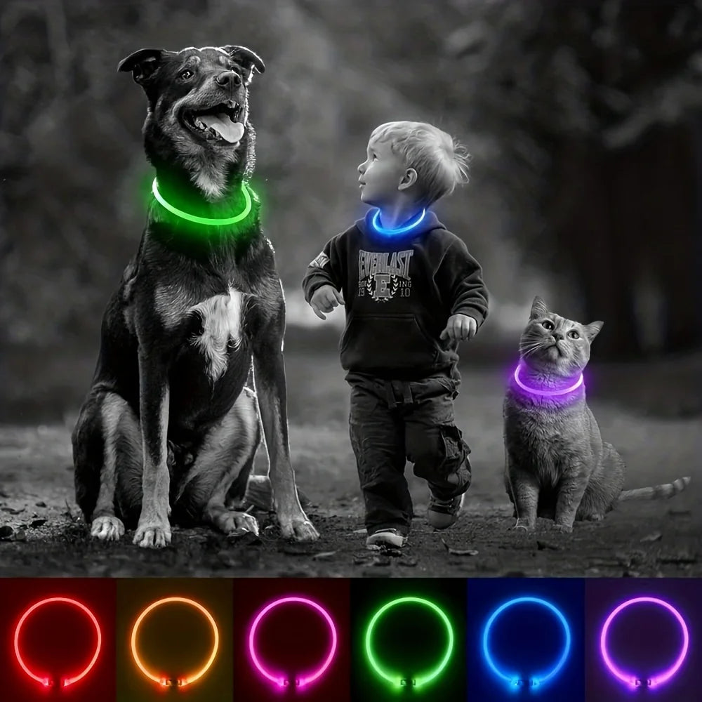 USB Rechargeable LED Light-Up Dog Collar – Night Safety Collar