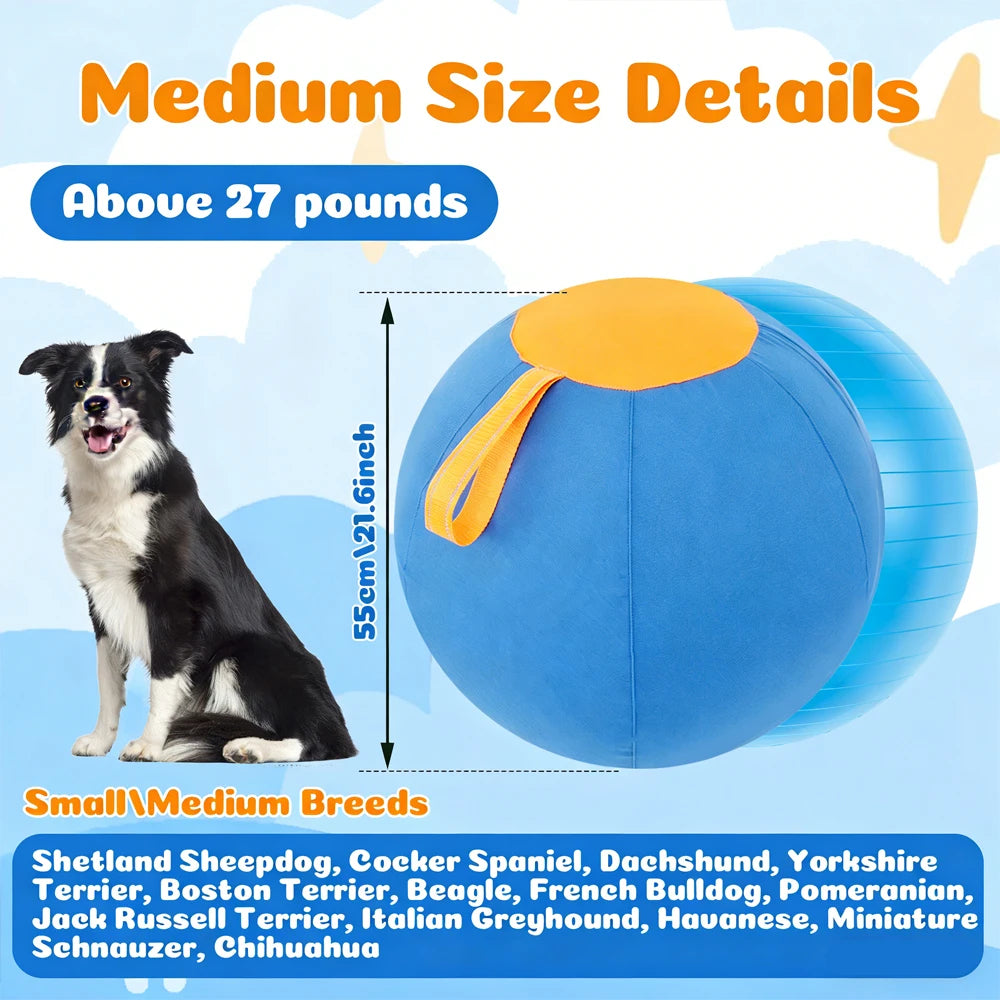 Herding Ball for Dogs — Inflatable Interactive Toy with Handle (45, 55 & 65cm)