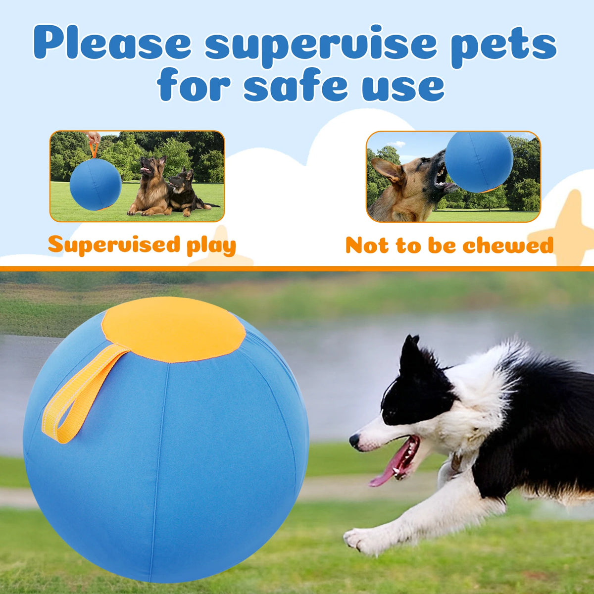Herding Ball for Dogs — Inflatable Interactive Toy with Handle (45, 55 & 65cm)