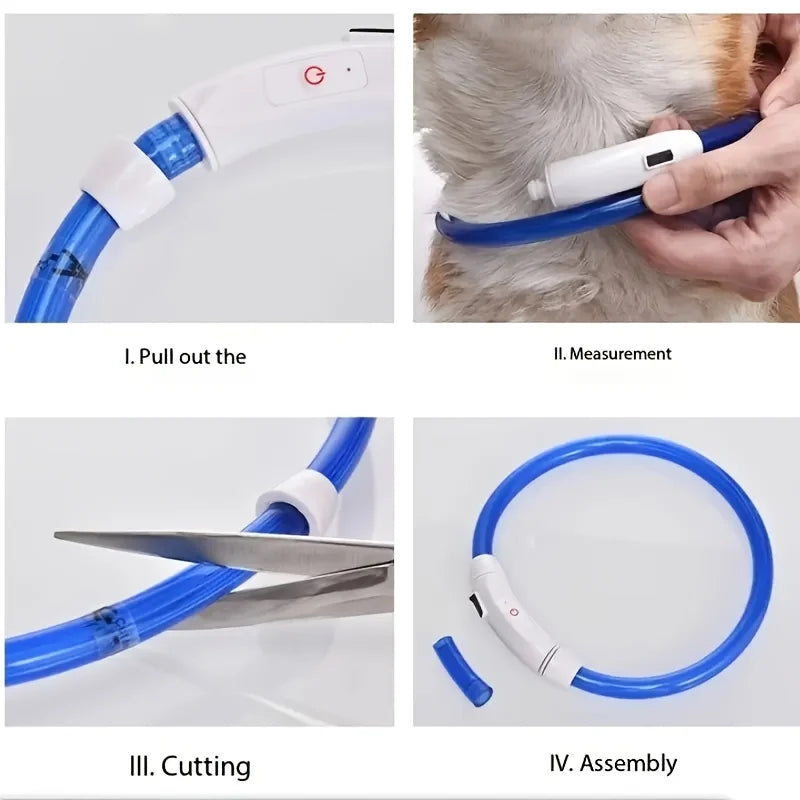 USB Rechargeable LED Light-Up Dog Collar – Night Safety Collar
