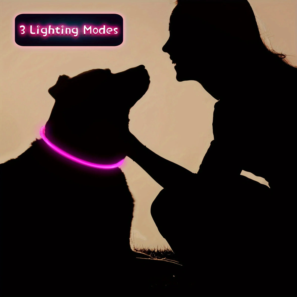 USB Rechargeable LED Light-Up Dog Collar – Night Safety Collar