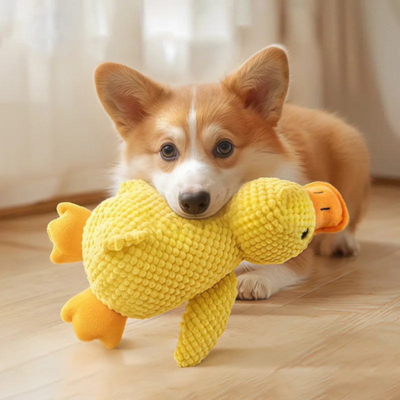 Squeaky Goose Plush Dog Toy – Crinkle & Squeak for Dogs