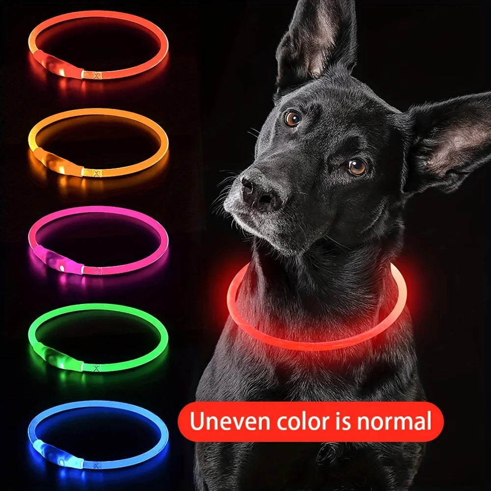 USB Rechargeable LED Light-Up Dog Collar – Night Safety Collar