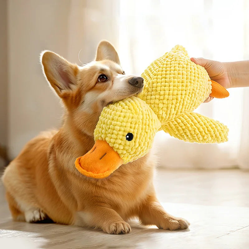 Squeaky Goose Plush Dog Toy – Crinkle & Squeak for Dogs