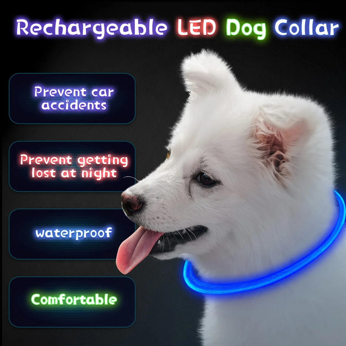 USB Rechargeable LED Light-Up Dog Collar – Night Safety Collar