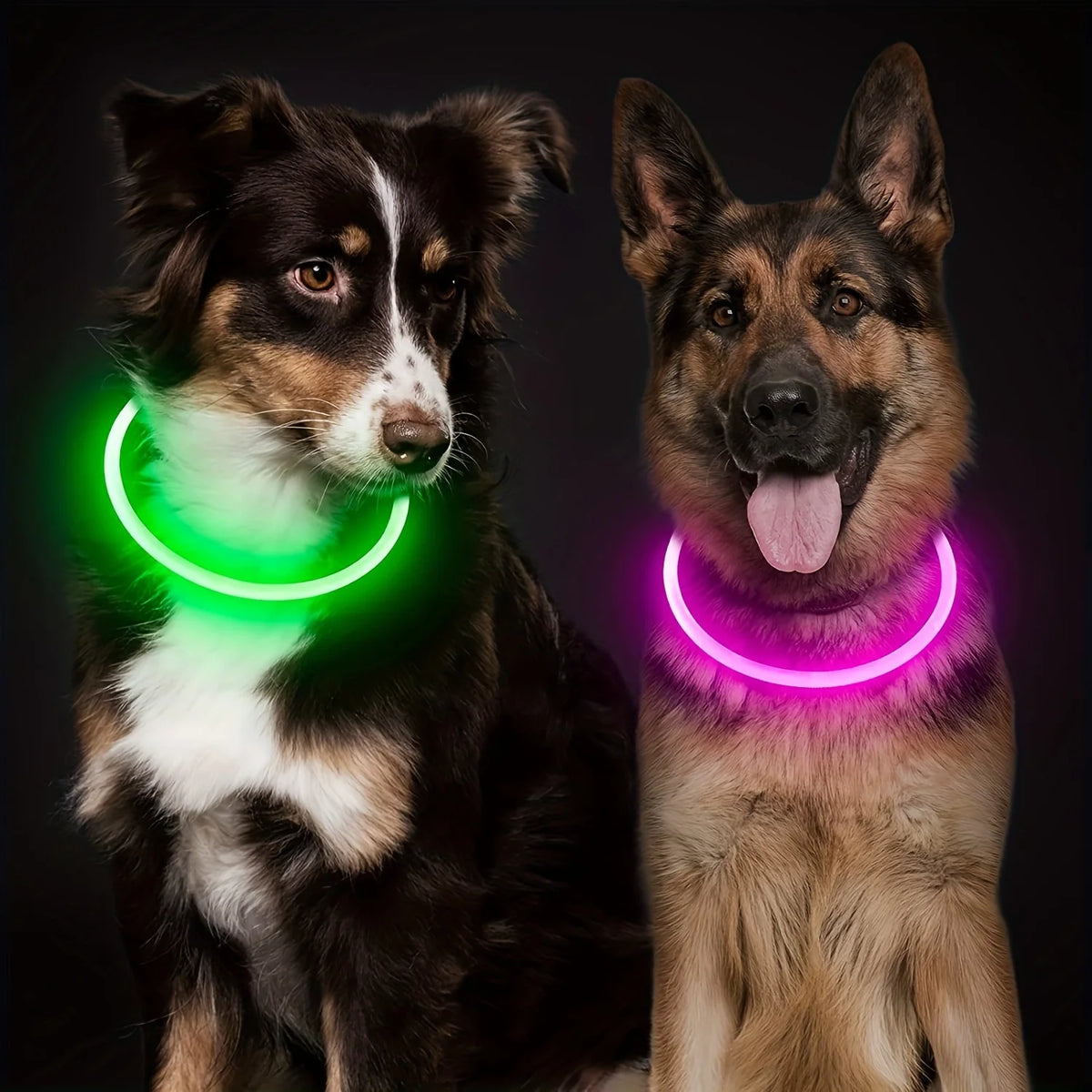 USB Rechargeable LED Light-Up Dog Collar – Night Safety Collar
