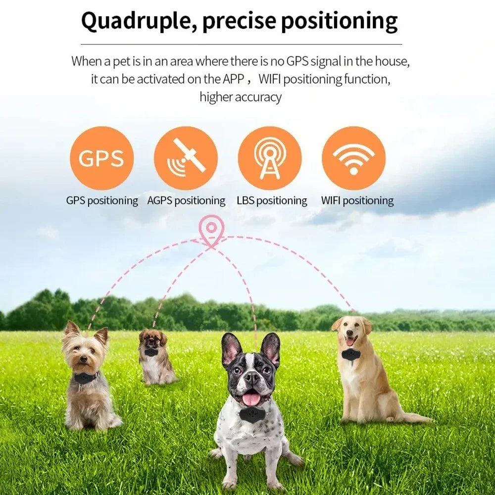 Waterproof GPS Tracker Case for Pet Collars – IPX8 Rated Holder